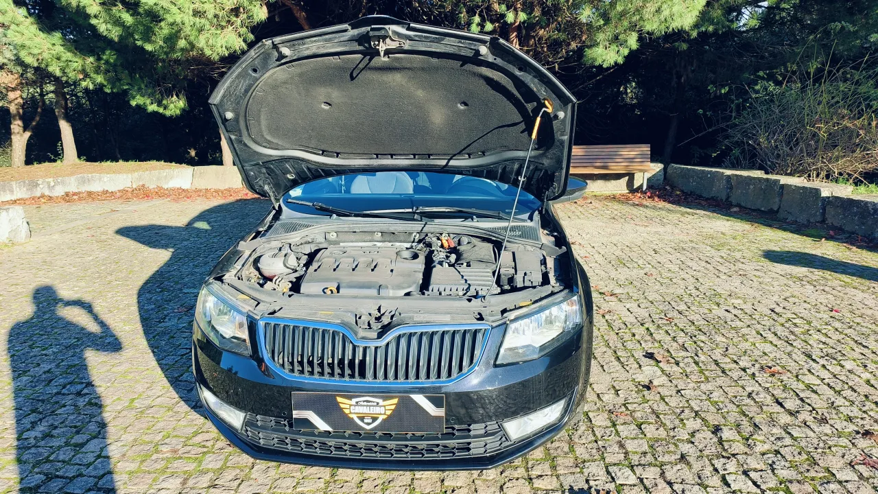 Skoda Octavia Stand Cavaleiro